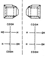 Асимметричность кристаллов рацемической кислоты