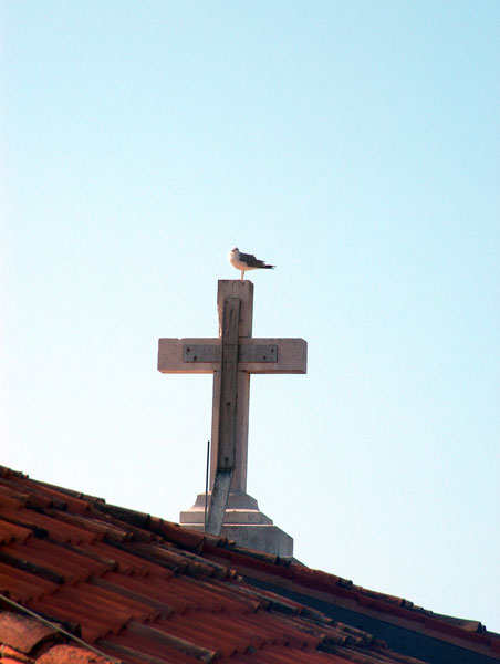 чайка, крест         | Венеция _ Биеннале 2004