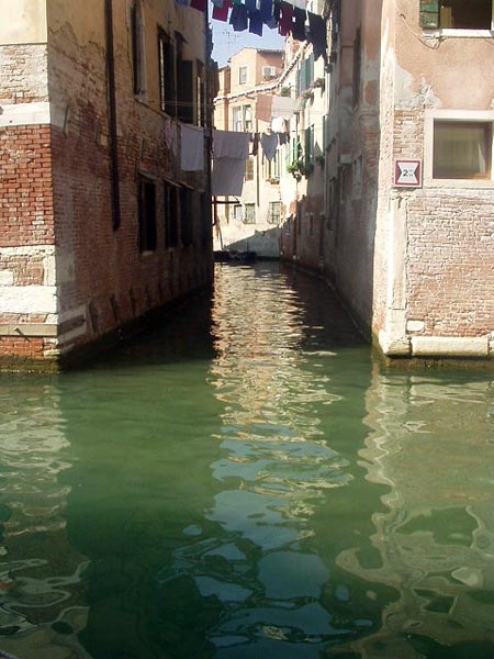 поверхность        | Венеция _ Биеннале 2004